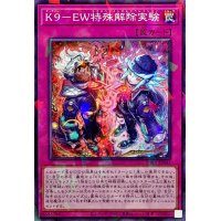 K9EW特殊解除実験【ノーマルパラレル】{DBJH-JP041}《罠》