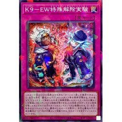 画像1: K9EW特殊解除実験【ノーマルパラレル】{DBJH-JP041}《罠》