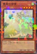 裏風の精霊【ノーマルパラレル】{DBPR-JP028}《モンスター》