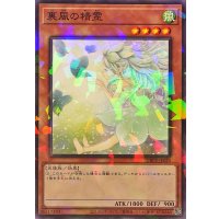 裏風の精霊【ノーマルパラレル】{DBPR-JP028}《モンスター》