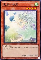 裏風の精霊【ノーマル】{DBPR-JP028}《モンスター》