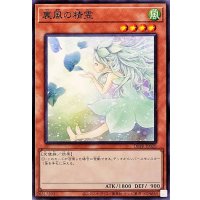裏風の精霊【ノーマル】{DBPR-JP028}《モンスター》