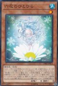 六花のひとひら【ノーマル】{DBSS-JP014}《モンスター》