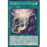 白き宿命のエルドリクシル【ノーマル】{DBSS-JP030}《魔法》