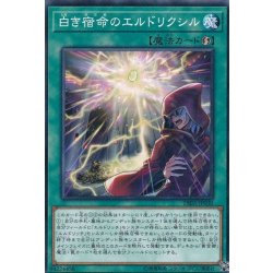 画像1: 白き宿命のエルドリクシル【ノーマル】{DBSS-JP030}《魔法》