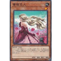 薔薇恋人【ノーマル】{DBSS-JP039}《モンスター》