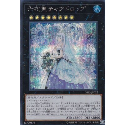 〔状態B〕六花聖ティアドロップ【シークレット】{DBSS-JP022}《エクシーズ》