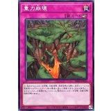 重力崩壊【ノーマル】{DBVS-JP030}《罠》