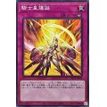 騎士皇爆誕【ノーマル】{DBVS-JP024}《罠》