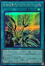 終刻起動DOOMDURG【シークレット】{DOOD-JP058}《魔法》