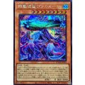 絢嵐渦麗ヴァルルーン【シークレット】{DOOD-JP016}《モンスター》