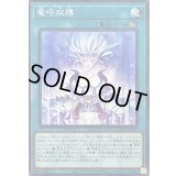 竜呼双搏【ノーマル】{DOOD-JP064}《魔法》