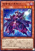 夜薔薇の黒騎士【ノーマル】{DOOD-JP005}《モンスター》
