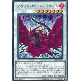 ブラックローズドラゴン【ノーマル】{DP21-JP028}《シンクロ》