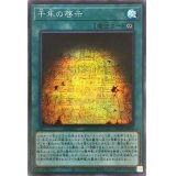 〔状態A-〕千年の啓示【シークレット】{DP24-JP006}《魔法》
