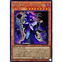 時花の賢者フルールドサージュ【シークレット】{DP25-JP020}《モンスター》