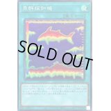 〔状態B〕魚群探知機【スーパー】{DP26-JP020}《魔法》
