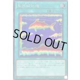 〔状態B〕魚群探知機【シークレット】{DP26-JP020}《魔法》