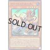 〔状態B〕アマゾネスの戦士長【スーパー】{DP27-JP032}《モンスター》