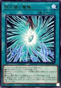 咎を擁く魔瞳【レア】{DUAD-JP070}《魔法》