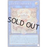 〔状態B〕うかのみつねのおなり【シークレット】{DUAD-JP051}《リンク》