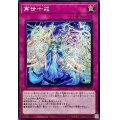 再世十戒【ノーマル】{DUAD-JP077}《罠》