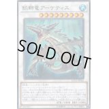 〔状態B〕飢鰐竜アーケティス【ノーマル】{ETCO-JP043}《シンクロ》