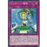 ピンポイント奪取【ノーマル】{ETCO-JP080}《罠》