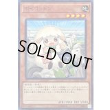 〔状態A-〕ボイコットン【ノーマル】{FLOD-JP035}《モンスター》