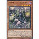 アロマージマジョラム【ノーマル】{CHIM-JP018}《モンスター》