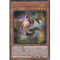 〔状態A-〕輝光竜セイファート【シークレット】{CHIM-JP014}《モンスター》