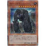 〔状態B〕礫岩の霊長コングレード【20thシークレット】{CHIM-JP024}《モンスター》