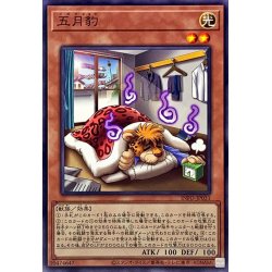 画像1: 五月豹【ノーマル】{INFO-JP031}《モンスター》