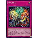燦幻開花【ノーマル】{INFO-JP073}《罠》