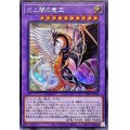 〔状態A-〕光と闇の竜王【シークレット】{INFO-JP034}《融合》