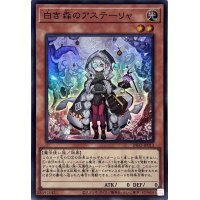 〔状態A-〕白き森のアステーリャ【スーパー】{INFO-JP013}《モンスター》