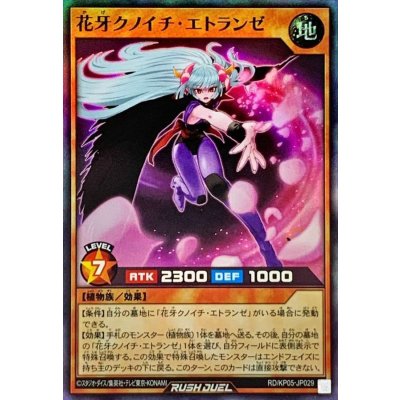 花牙クノイチエトランゼ【スーパー】{RD/KP05-JP029}《RDモンスター》