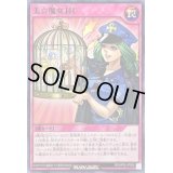 美☆魔女封じ【ノーマル】{RD/KP05-JP055}《RD罠》