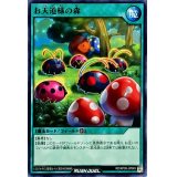 お天道様の森【ノーマル】{RD/KP09-JP049}《RD魔法》