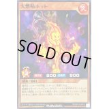 火燃精ホット【ノーマル】{RD/KP14-JP013}《RDモンスター》
