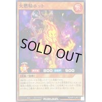 火燃精ホット【ノーマル】{RD/KP14-JP013}《RDモンスター》