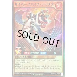 画像1: サイバースパイスナツメグ【スーパー】{RD/KP17-JP018}《RDモンスター》