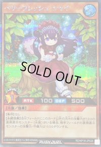 〔状態B〕ベリーフレッシュシャイ【シークレット】{RD/KP18-JP028}《RDモンスター》