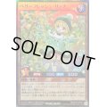 〔状態B〕ベリーフレッシュリッチ【スーパー】{RD/KP18-JP027}《RDモンスター》