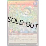 〔状態B〕ベリーフレッシュリッチ【スーパー】{RD/KP18-JP027}《RDモンスター》