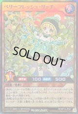 〔状態B〕ベリーフレッシュリッチ【スーパー】{RD/KP18-JP027}《RDモンスター》