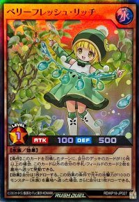 ベリーフレッシュリッチ【スーパー】{RD/KP18-JP027}《RDモンスター》