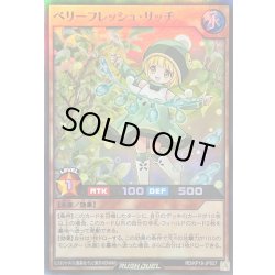 画像1: 〔状態B〕ベリーフレッシュリッチ【スーパー】{RD/KP18-JP027}《RDモンスター》