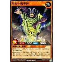 集約の魔導師【ノーマル】{RD/KP23-JP035}《RDモンスター》