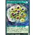 ドラコニックフルーツ【ノーマル】{RD/KP23-JP046}《RD魔法》
